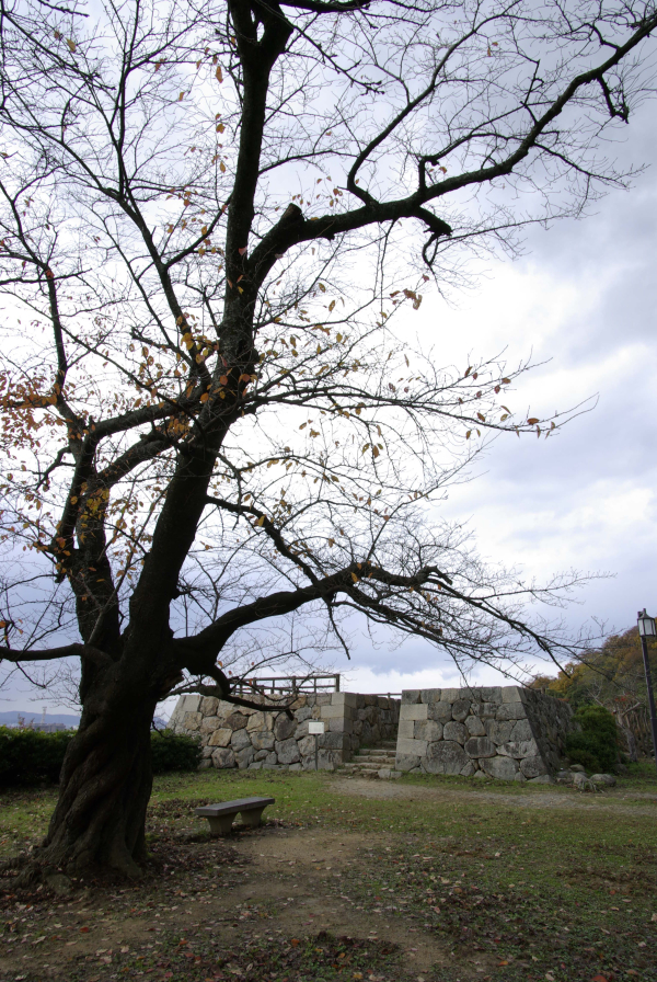鳥取城櫓跡の写真