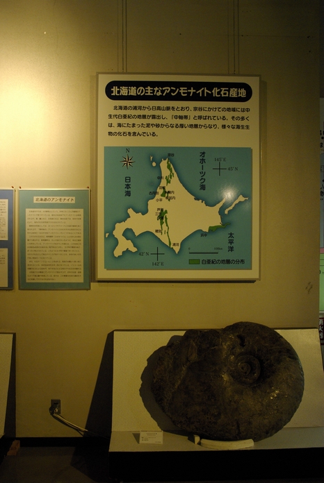 北海道化石産地地図とアンモナイト化石