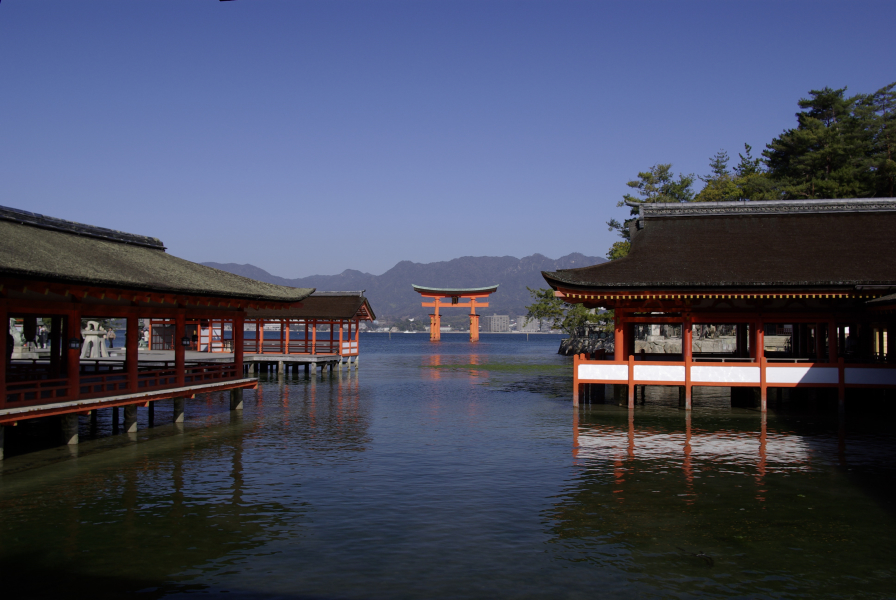 厳島神社大鳥居の写真