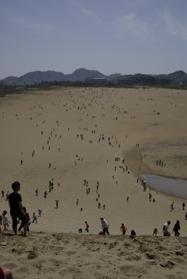 鳥取砂丘の写真