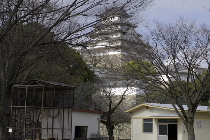 姫路市立動物園から姫路城を見る