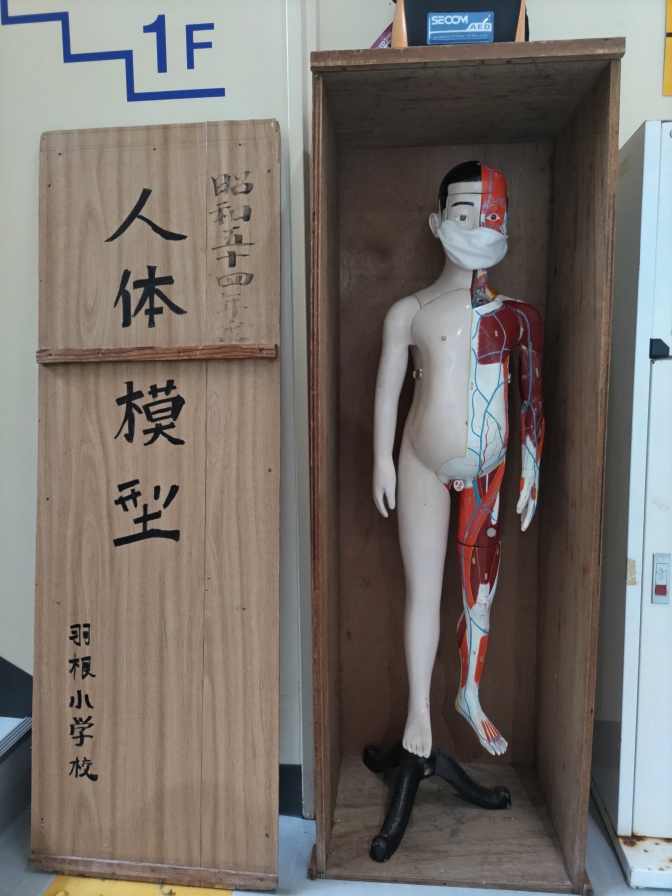 室戸廃校水族館の人体模型の写真