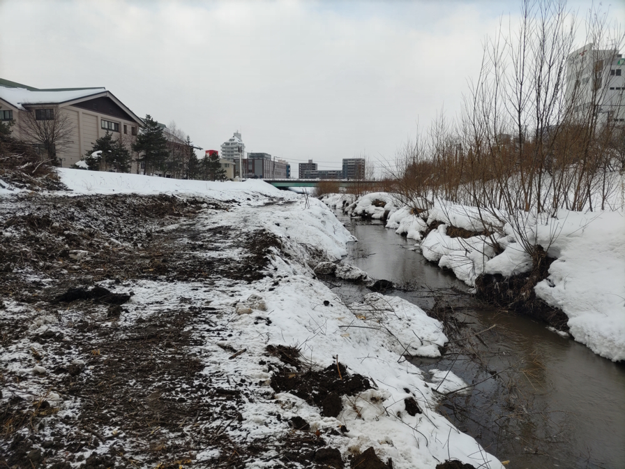 野津幌川の伐採がほぼ終わった河川敷の写真