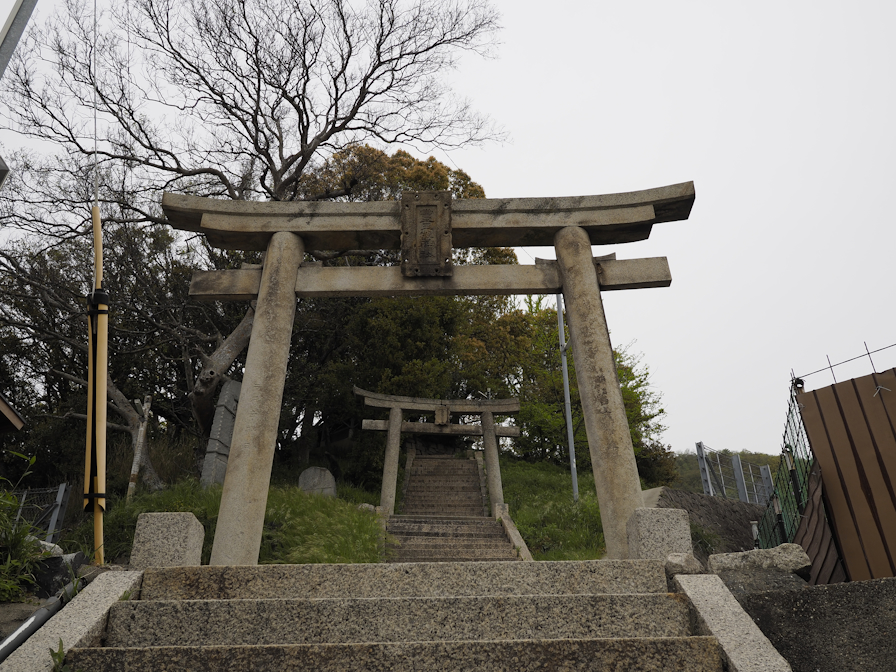 豊玉姫神社（とよたまひめじんじゃ）の鳥居