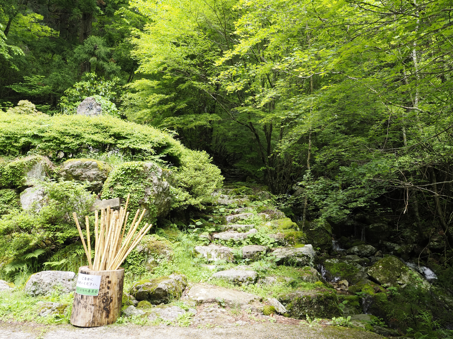 四万十川源流点遊歩道入口